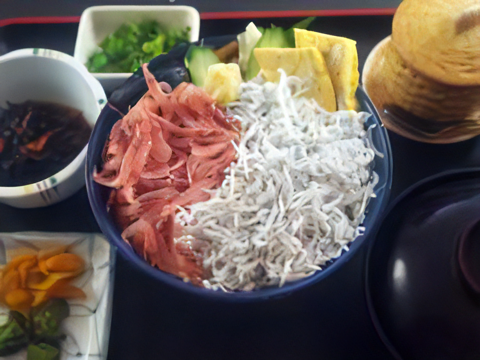 生桜エビ釜揚げシラス丼